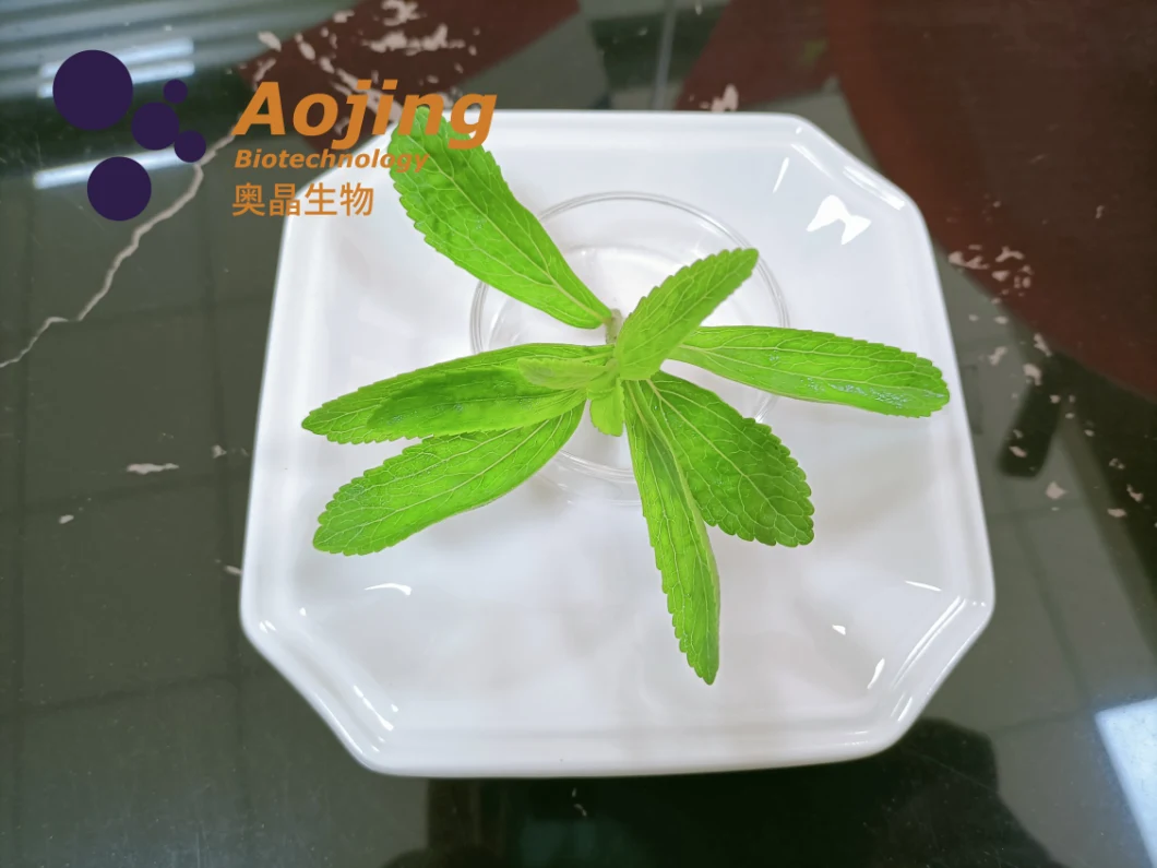 Food Additive Sweetener Stevia Inulin Glycoside Extracted From Stevia Rebaudiana Ra80%